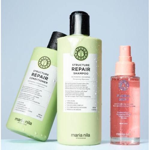 Structure Repair Holiday Box